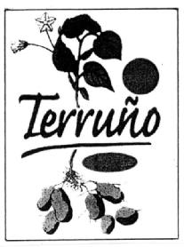 Imagen de TERRUÑO