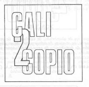 Imagen de CALI 2 COPIO