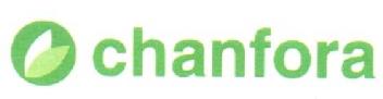 Imagen de CHANFORA