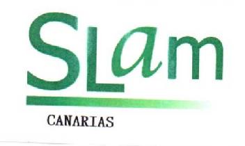 Imagen de SLAM CANARIAS