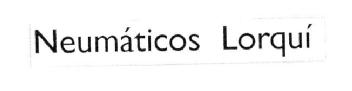 Imagen de NEUMATICOS LORQUI