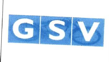 Imagen de GSV