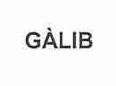 Imagen de GALIB