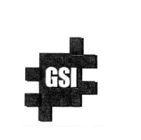 Imagen de GSI