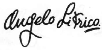 Imagen de ANGELO LITRICO
