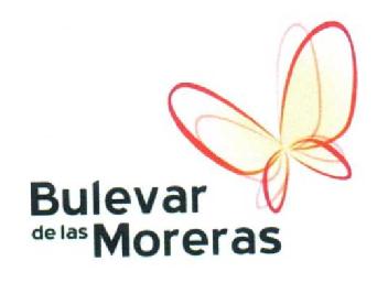 Imagen de BULEVAR DE LAS MORERAS