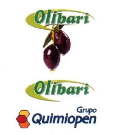 Imagen de OLIBARI GRUPO QUIMIOPEN