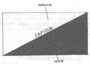 Imagen de CAPICUA