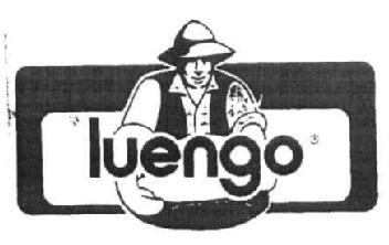Imagen de LUENGO