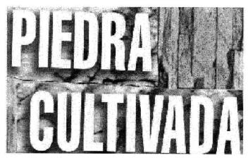 Imagen de PIEDRA CULTIVADA