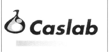 Imagen de CASLAB