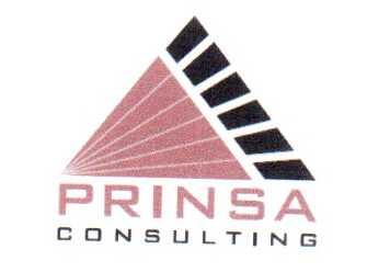 Imagen de PRINSA CONSULTING