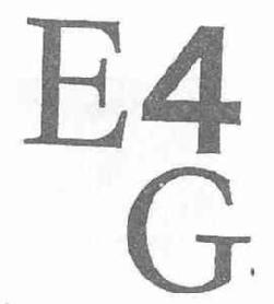 Imagen de E4G