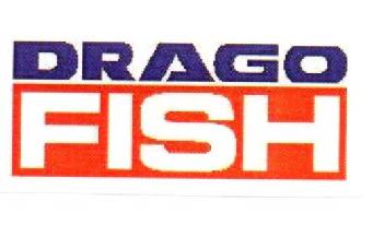 Imagen de DRAGO FISH
