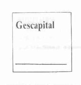 Imagen de GESCAPITAL