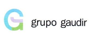 Imagen de G GRUPO GAUDIR