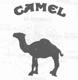 Imagen de CAMEL