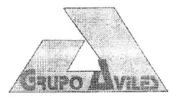 Imagen de GRUPO AVILES