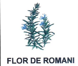 Imagen de FLOR DE ROMANI