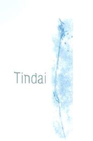 Imagen de TINDAI