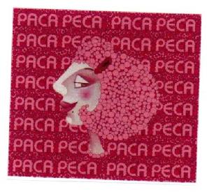 Imagen de PACA PECA