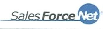 Imagen de SALESFORCE.NET