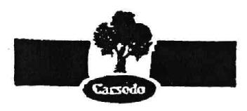 Imagen de CARSODO
