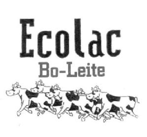 Imagen de ECOLAC BO-LEITE