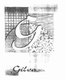 Imagen de G GILVA, S.A