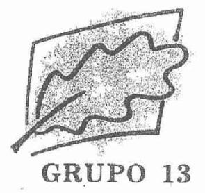Imagen de GRUPO 13