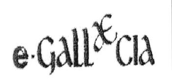 Imagen de E-GALLAECIA