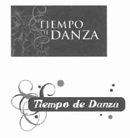 Imagen de TIEMPO DE DANZA TIEMPO DE DANZA