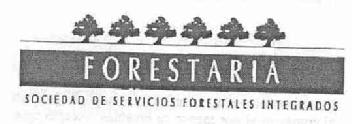 Imagen de FORESTARIA SOCIEDAD DE SERVICIOS FORESTALES INTEGRADOS
