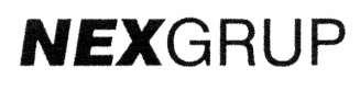 Imagen de NEXGRUP