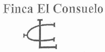 Imagen de FINCA EL CONSUELO CL