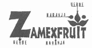 Imagen de ZAMEXFRUIT
