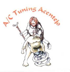 Imagen de A/C TUNING ACENTEJO ASOCIACION CULTURAL TUNING ACENTEJO
