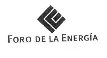 Imagen de FORO DE LA ENERGIA