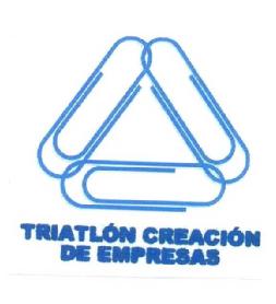Imagen de TRIATLON CREACION DE EMPRESAS