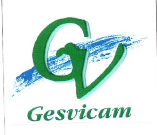 Imagen de GV GESVICAM