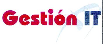 Imagen de GESTION IT