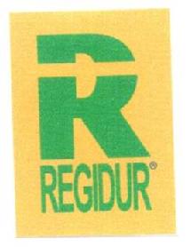 Imagen de R REGIDUR
