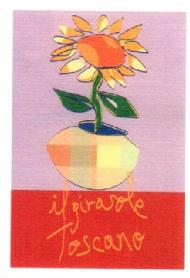 Imagen de IL GIRASOLE TOSCANO