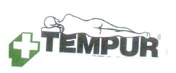 Imagen de TEMPUR