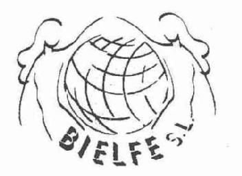 Imagen de BIELFE S.L