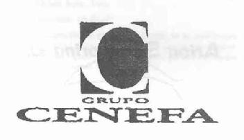 Imagen de GRUPO CENEFA