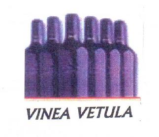 Imagen de VINEA VETULA