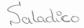 Imagen de SALADICO