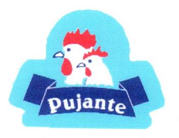 Imagen de PUJANTE