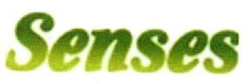 Imagen de SENSES